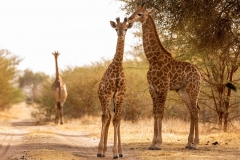 AdobeStock_252645204