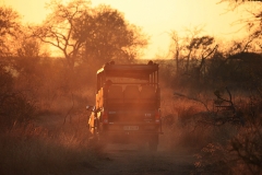 GAME-DRIVE-2