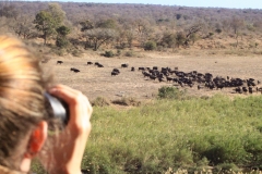 MJE-WILDLIFE-2