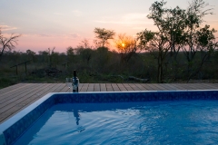 BUSH-POOL-2