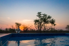 BUSH-POOL-3