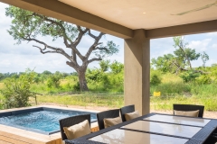 BUSH-POOL-4