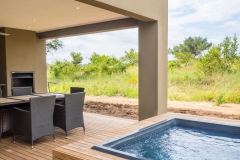 BUSH-POOL-6