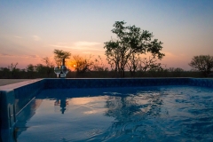 BUSH-POOL-3