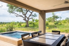 BUSH-POOL-4