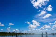 VIEW5