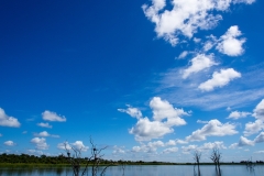 VIEW-4