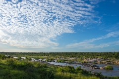 VIEW-9