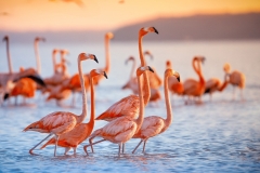 AdobeStock_199134657