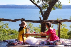 picnic