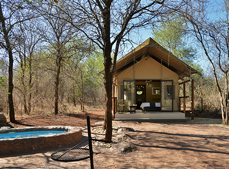 Jackalberry Ridge glamping tent