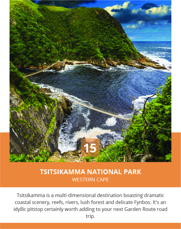 Tsitsikamma National Park, Western Cape 