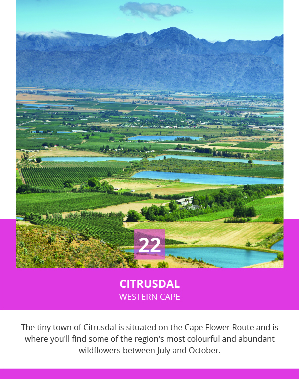 Citrusdal, Western Cape 