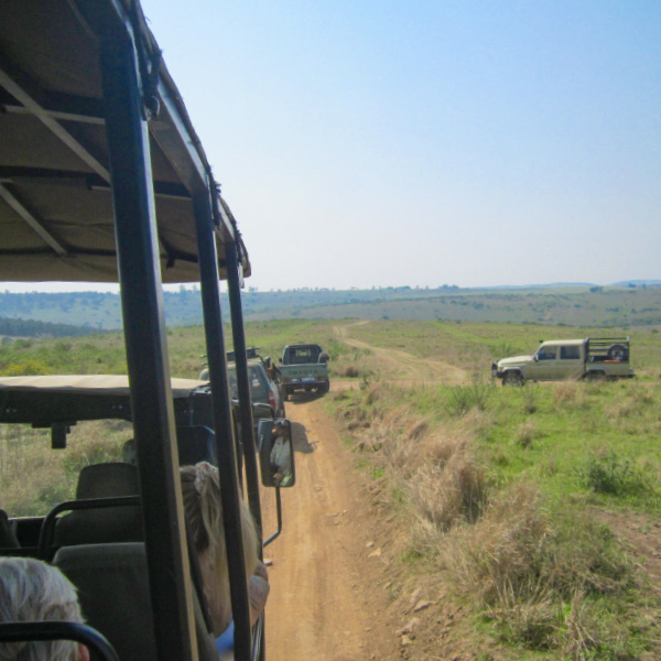 Driving through the reserve to locate Valentine.