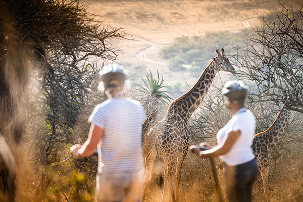 segway safari at Tala Collection Game Reserve