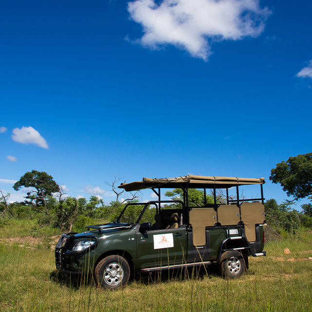 Activities at Bilene
